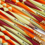 Blackwing Volume 574 (12 Pack)