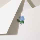 Flat Note, Hydrangea on Pearl White